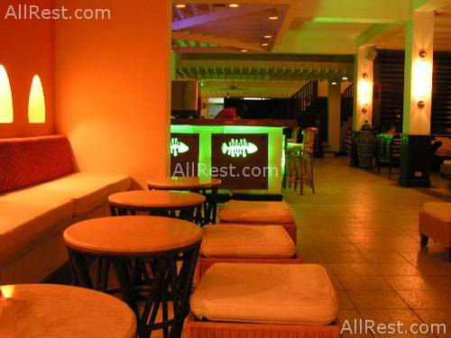 Royal Decameron Montego Beach 64